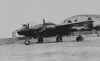 widow2.jpg (286539 bytes)